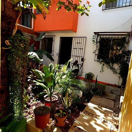 Casa Lomas Del Marinero Internet Starlink Sin Garaje Apartamento Puerto Escondido  Exterior foto