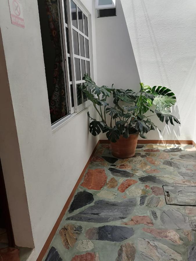 Casa Lomas Del Marinero Internet Starlink Sin Garaje Apartamento Puerto Escondido  Exterior foto