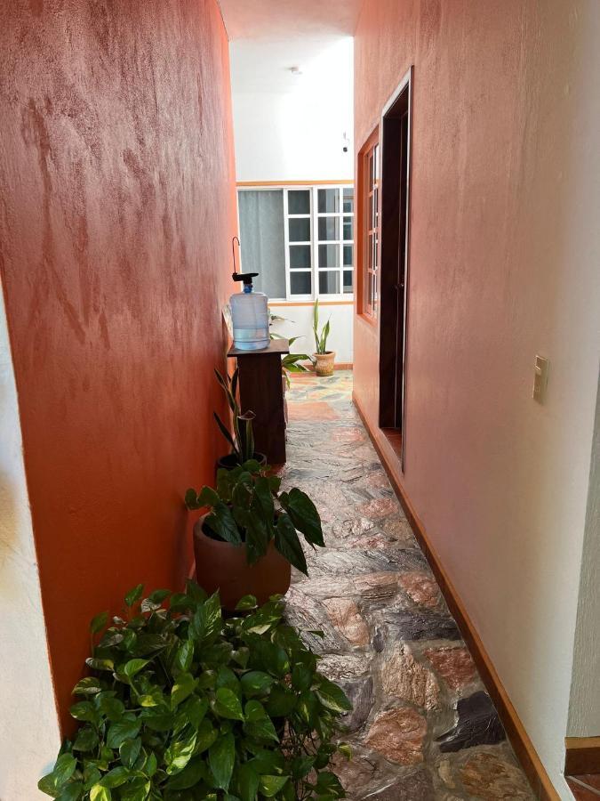 Casa Lomas Del Marinero Internet Starlink Sin Garaje Apartamento Puerto Escondido  Exterior foto