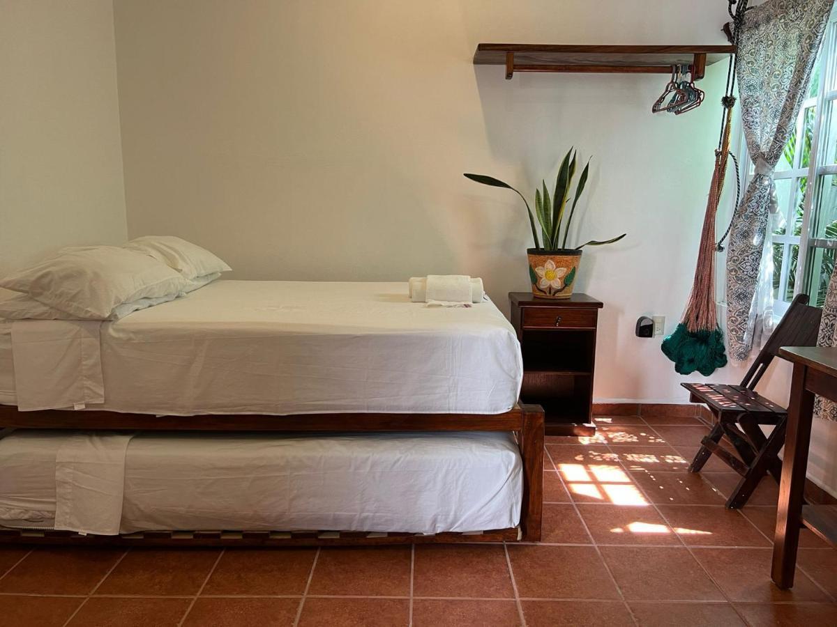 Casa Lomas Del Marinero Internet Starlink Sin Garaje Apartamento Puerto Escondido  Exterior foto