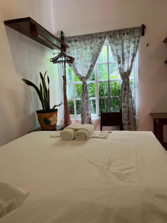 Casa Lomas Del Marinero Internet Starlink Sin Garaje Apartamento Puerto Escondido  Exterior foto